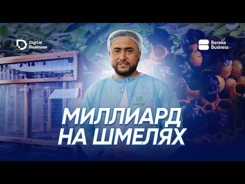 Kazakhstani man starts a bumblebee farm and makes billions from it