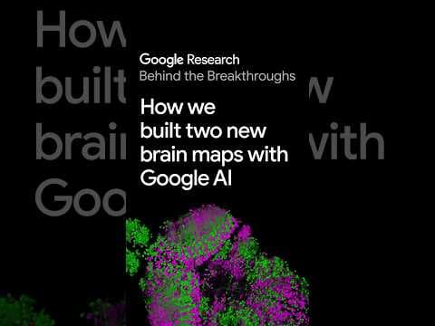 Как мы создали две новые карты мозга с помощью Google AI